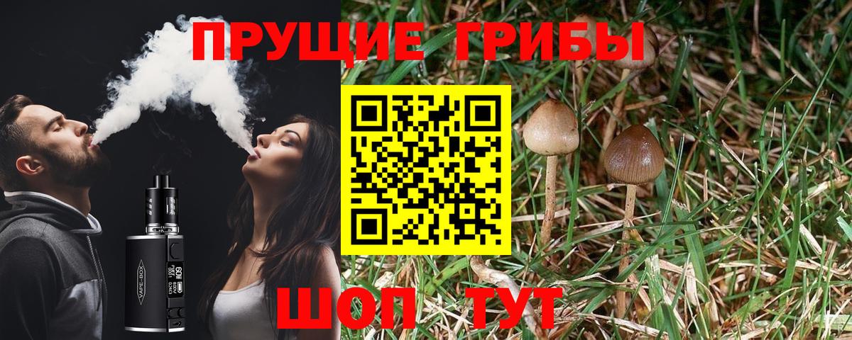 Бор  Галлюциногенные грибы Magic Shrooms  Вход с VPN 