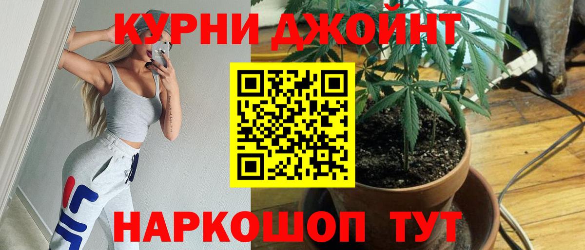 Каннабис AK-47  Вход с VPN  Канабис тримм  Конопля AK-47  Бор 